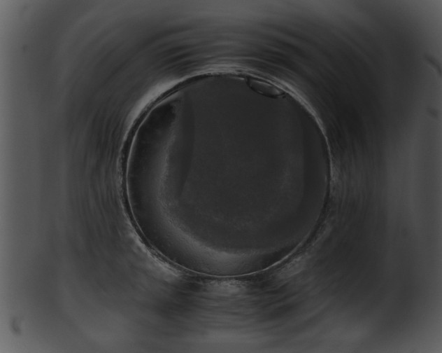 X0000101411045200807141127