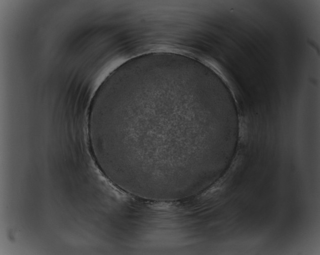 X0000101411048200807141127