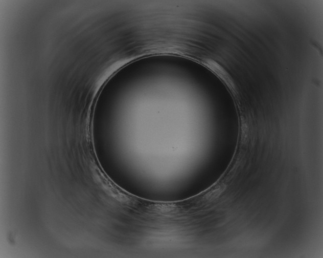 X0000101411052200807141127
