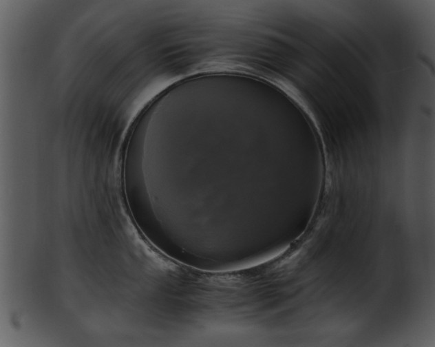 X0000101411053200807141127