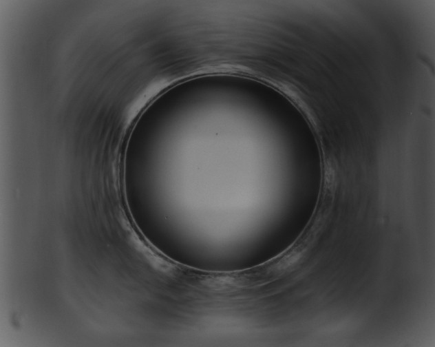 X0000101411054200807141127