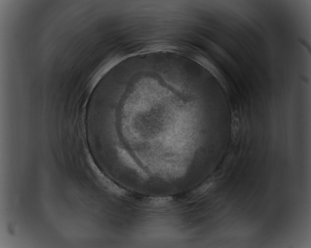 X0000101411055200807141127