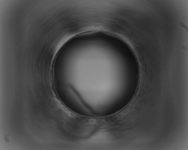 X0000101411056200807141127