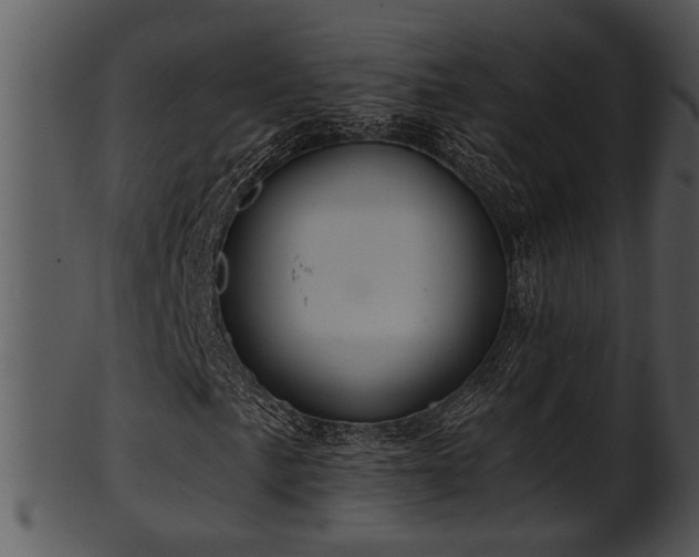 X0000101411057200807141126