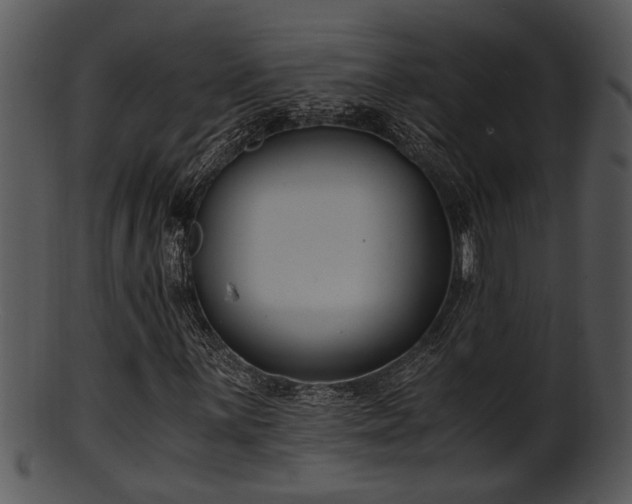 X0000101411059200807141126