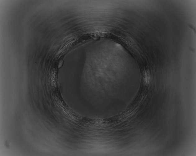X0000101411060200807141126