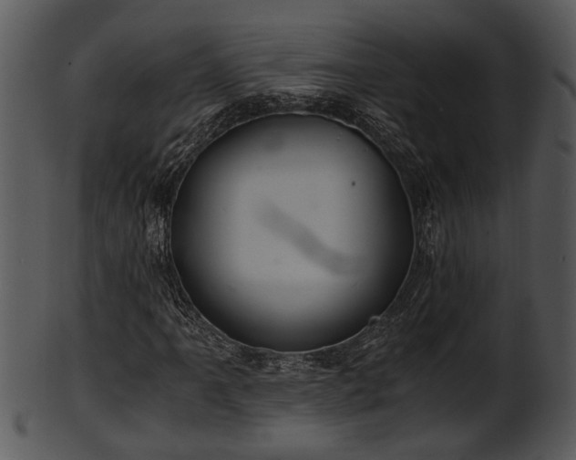 X0000101411061200807141126