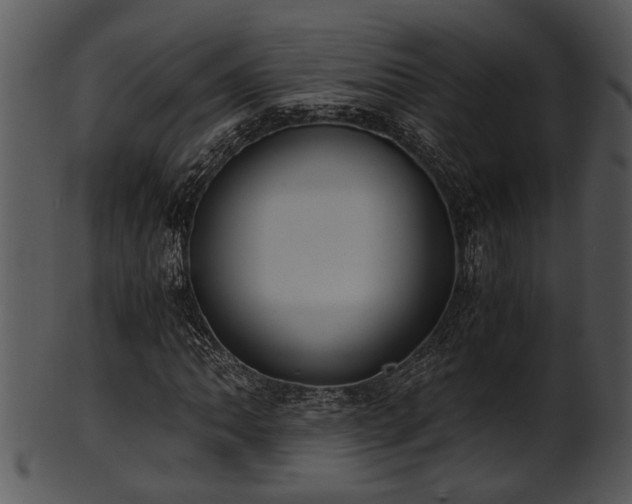 X0000101411062200807141126