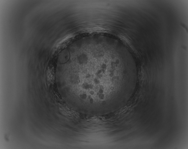X0000101411063200807141126