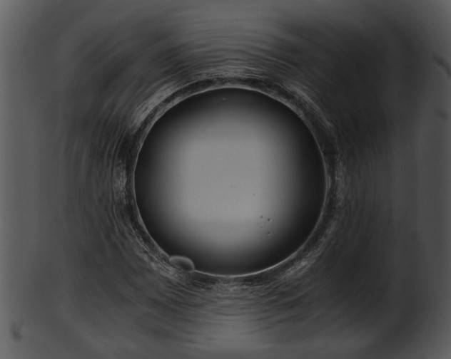 X0000101411065200807141126