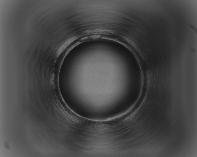 X0000101411066200807141126