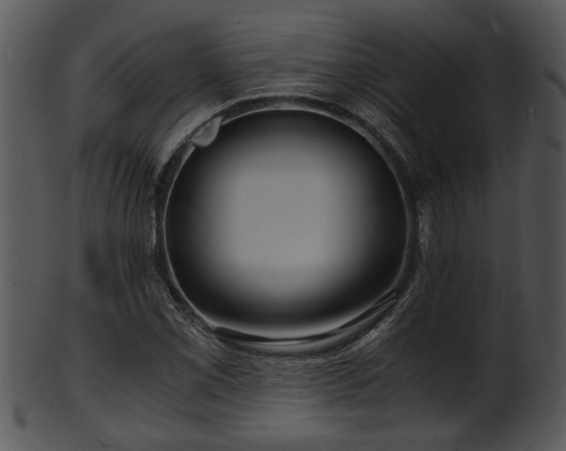 X0000101411069200807141126