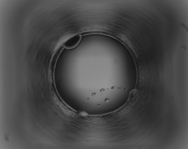 X0000101411072200807141126