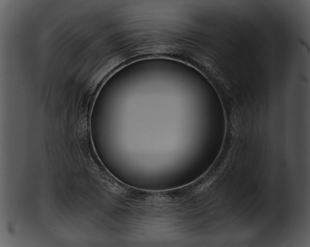 X0000101411073200807141126