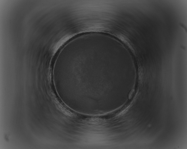 X0000101411077200807141126