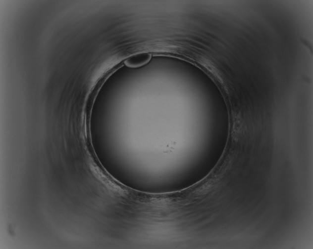 X0000101411080200807141126