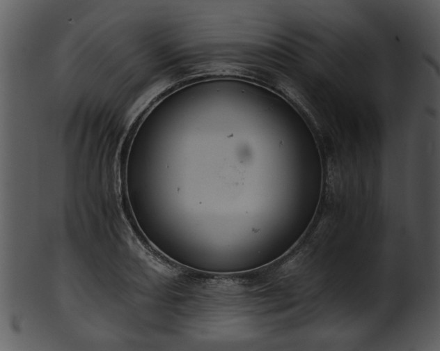 X0000101411082200807141126