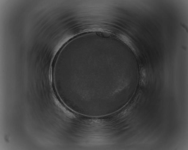 X0000101411084200807141126