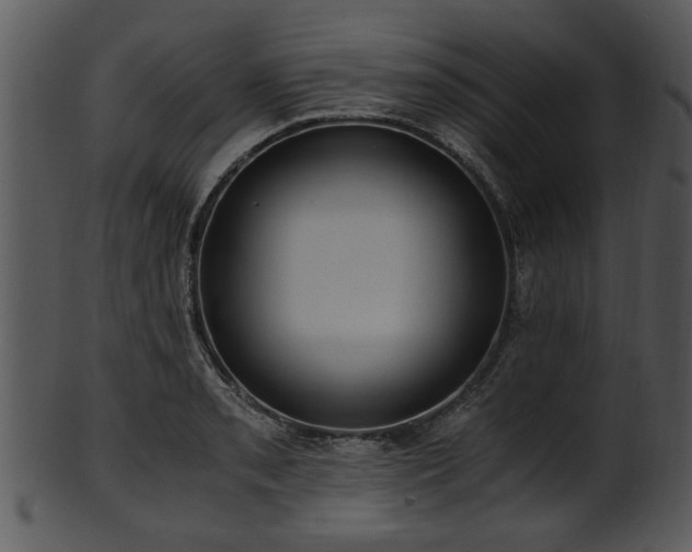 X0000101411085200807141126