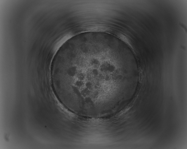 X0000101411087200807141126