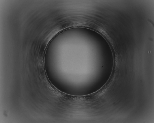 X0000101411089200807141126