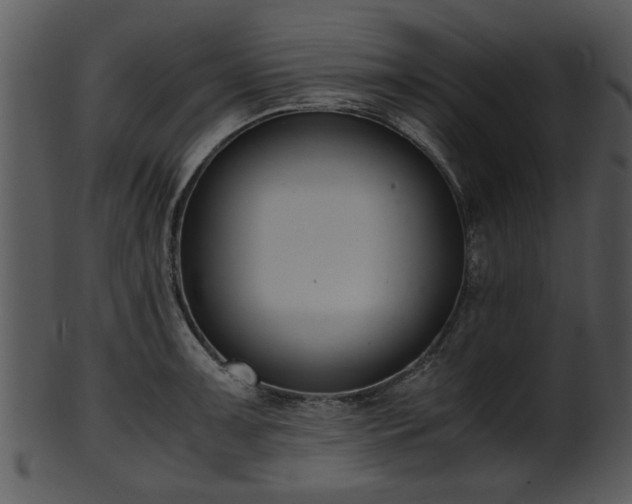 X0000101411091200807141126