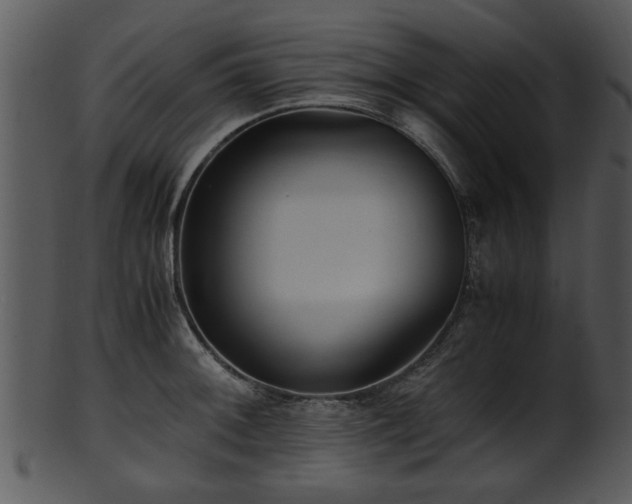 X0000101411092200807141126