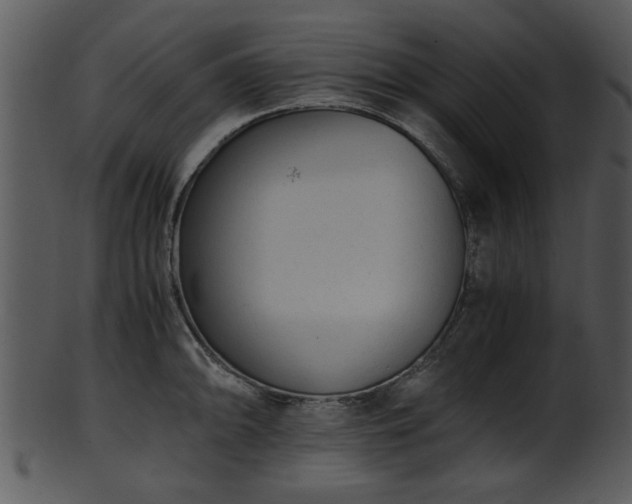 X0000101411094200807141126
