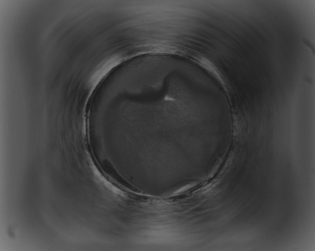 X0000101411095200807141126