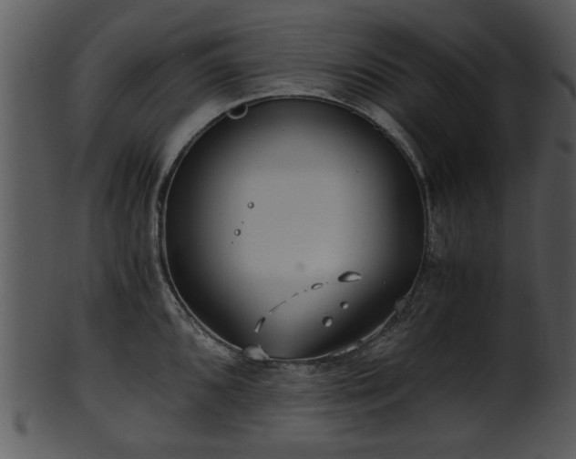 X0000101411096200807141126
