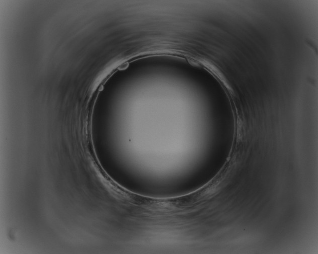 X0000101411101200807141125