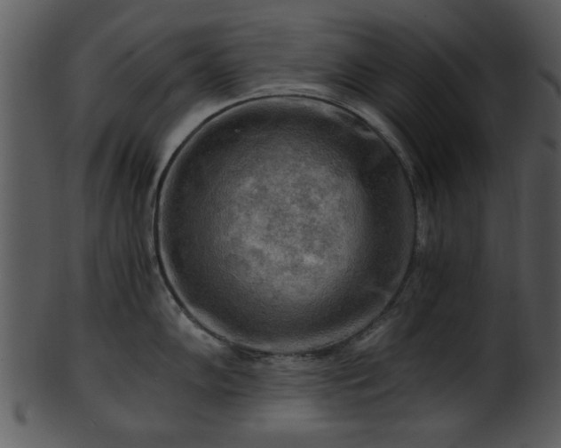 X0000101411102200807141125