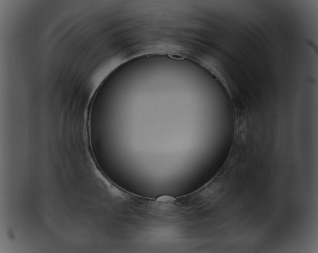 X0000101411103200807141125
