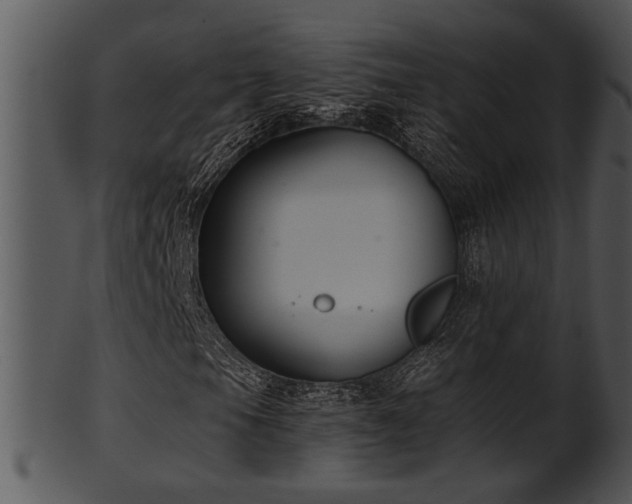 X0000101411105200807141125