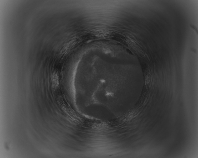 X0000101411106200807141125
