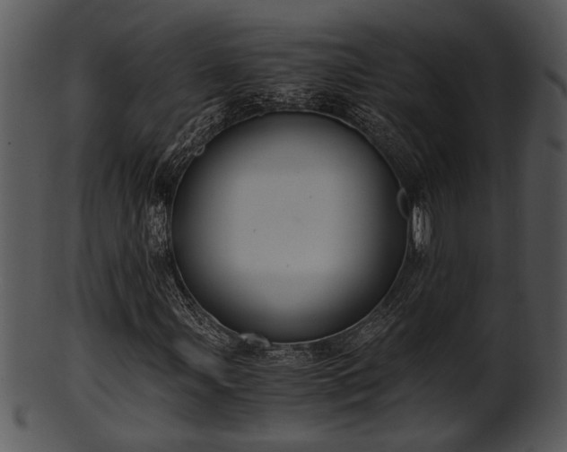 X0000101411107200807141125