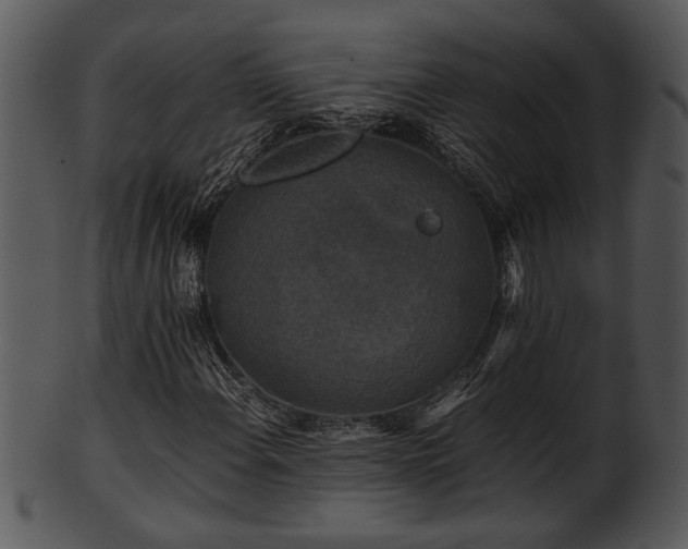 X0000101411108200807141125