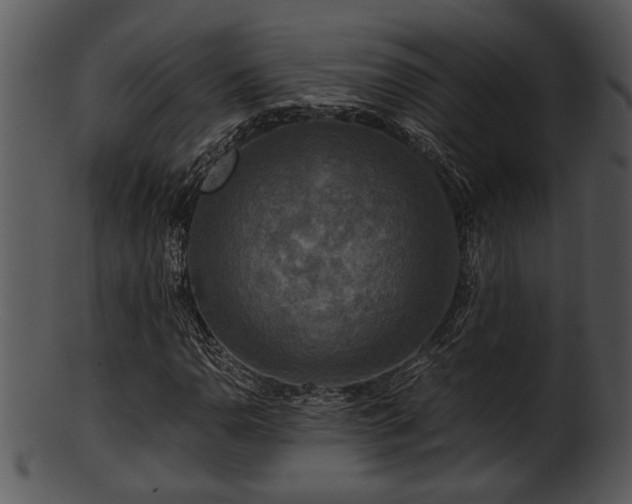 X0000101411110200807141125