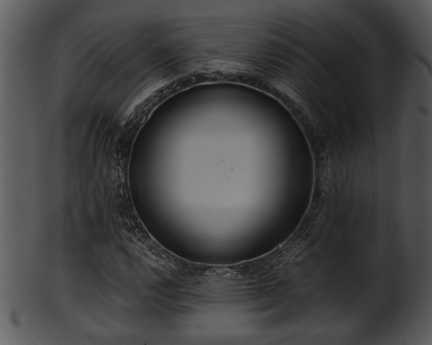 X0000101411112200807141125