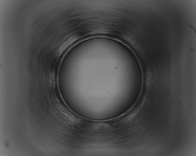 X0000101411113200807141125