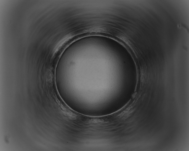 X0000101411115200807141125