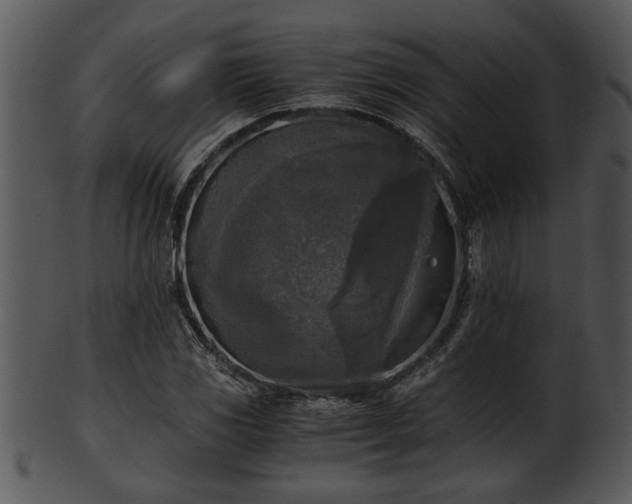 X0000101411117200807141125