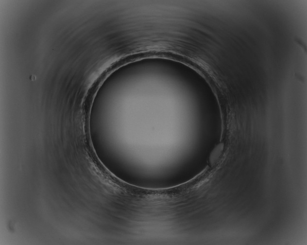 X0000101411118200807141125
