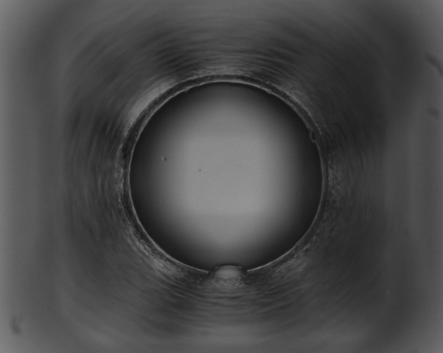 X0000101411119200807141125