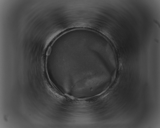 X0000101411120200807141125
