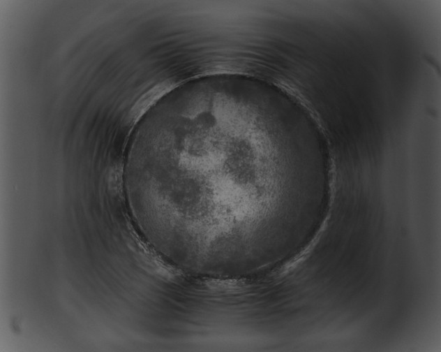 X0000101411121200807141125
