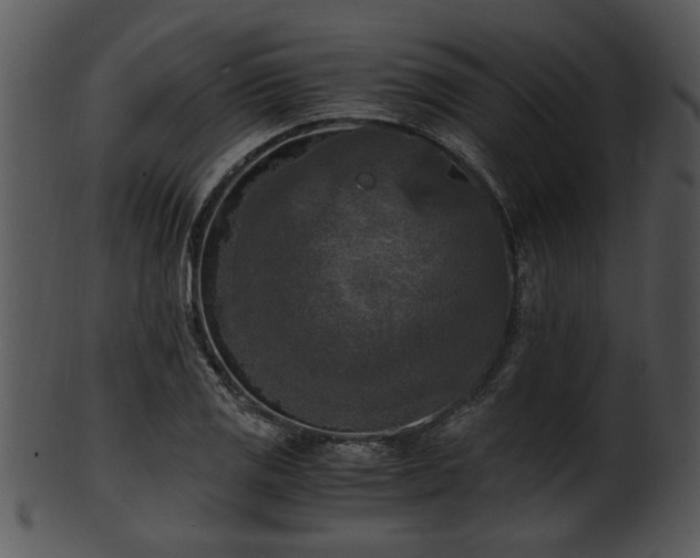 X0000101411125200807141125
