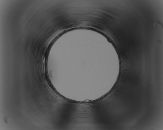 X0000101411126200807141125