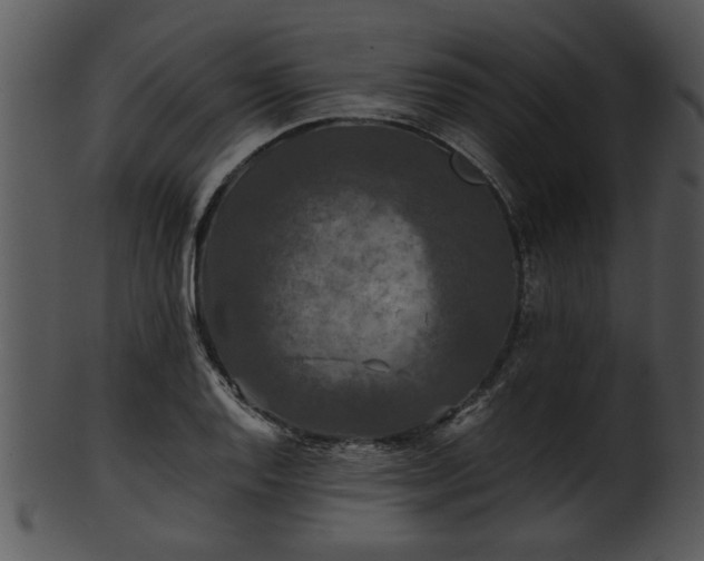 X0000101411128200807141125