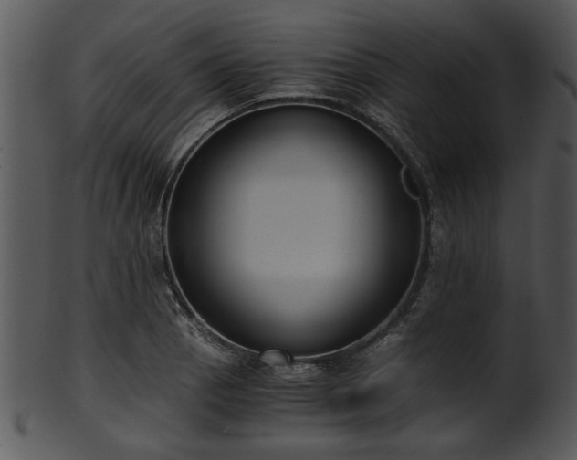 X0000101411129200807141125